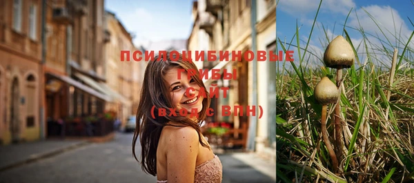 СК Алексеевка