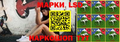 МДПВ Камышлов