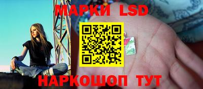 МДПВ Камышлов