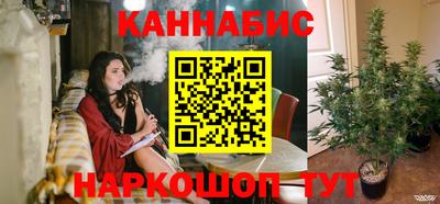 МДПВ Камышлов