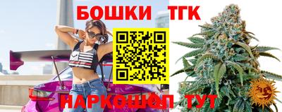 МДПВ Камышлов