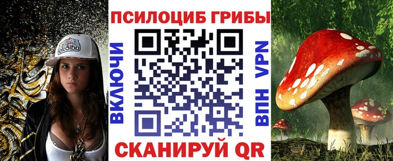 Псилоцибиновые грибы ЛСД  Мичуринск 